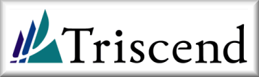 Triscend:  The Configurable System-on-Chip Company